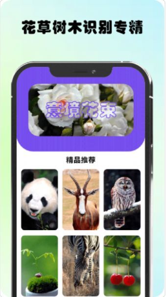 万物识图高手-图2