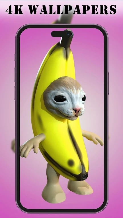 Banana Cat Wallpaper Banana Cat Wallpaper