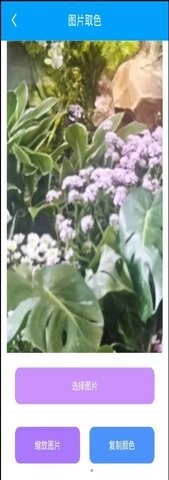 栋剧工具箱-图3