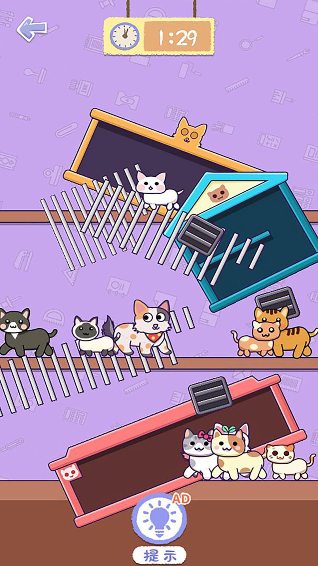 变身改造 变身改造