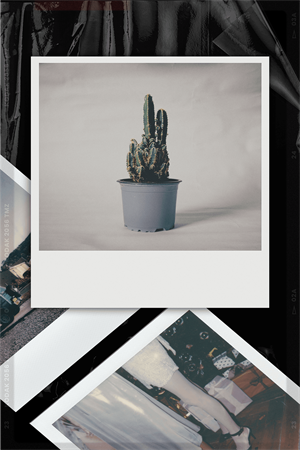 LastRoll复古胶片相机-图1