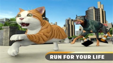 虚拟猫生存模拟 虚拟猫生存模拟