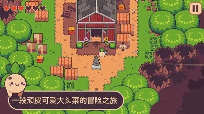 大头菜菜历险记 大头菜菜历险记