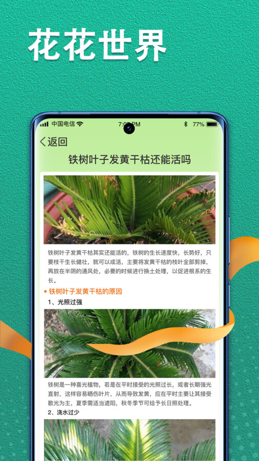 植物视界-图2