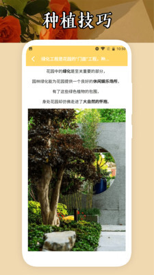 小小花店种养-图3