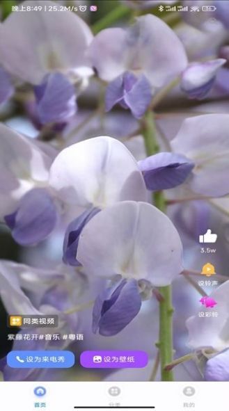 幸运来电秀-图3