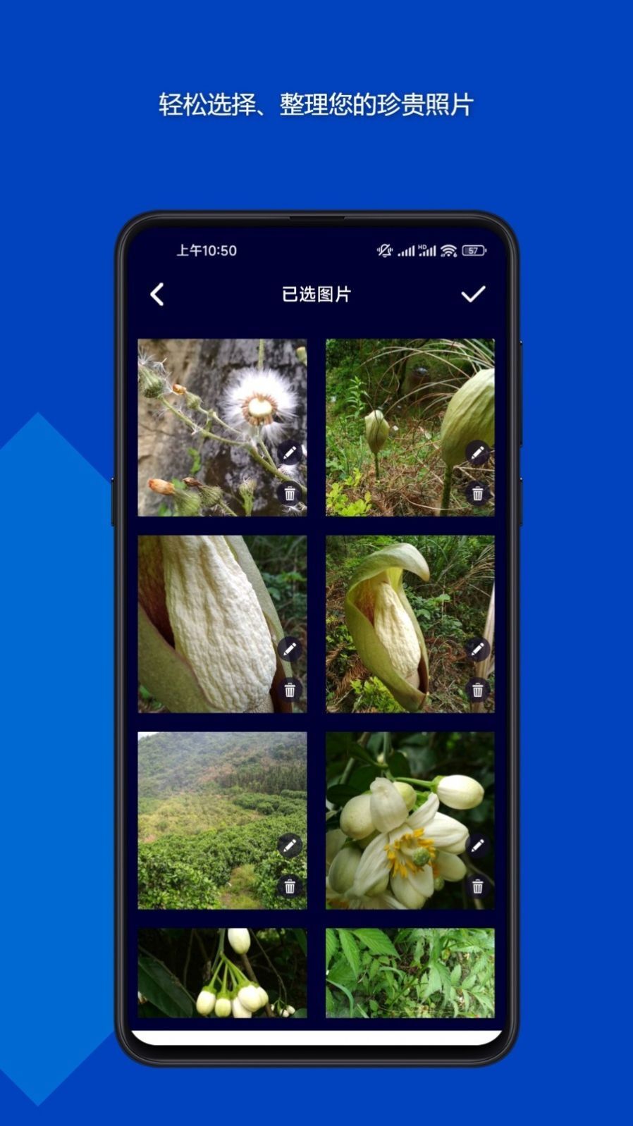 魔法音乐相册-图3