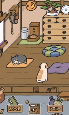 狗狗的使命 狗狗的使命