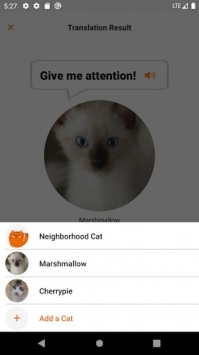 MEOWTALK猫语翻译器-图2