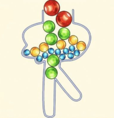 脑洞的力量 脑洞的力量