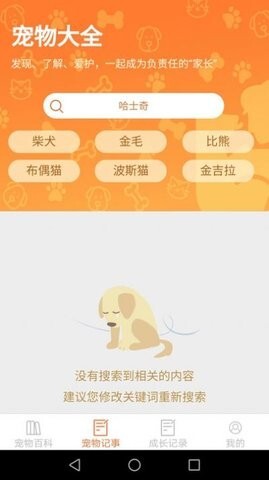 宠物点点-图1