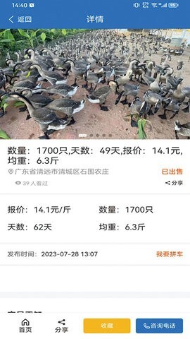 鹅先生交易-图1