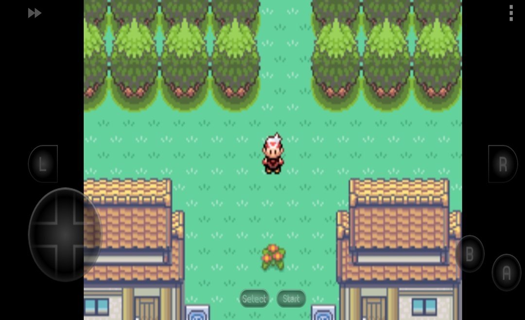 口袋妖漆黑的魅影