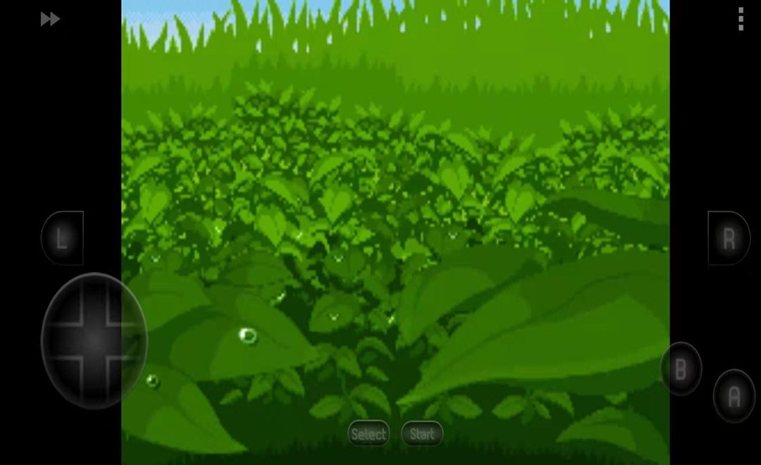 口袋妖漆黑的魅影