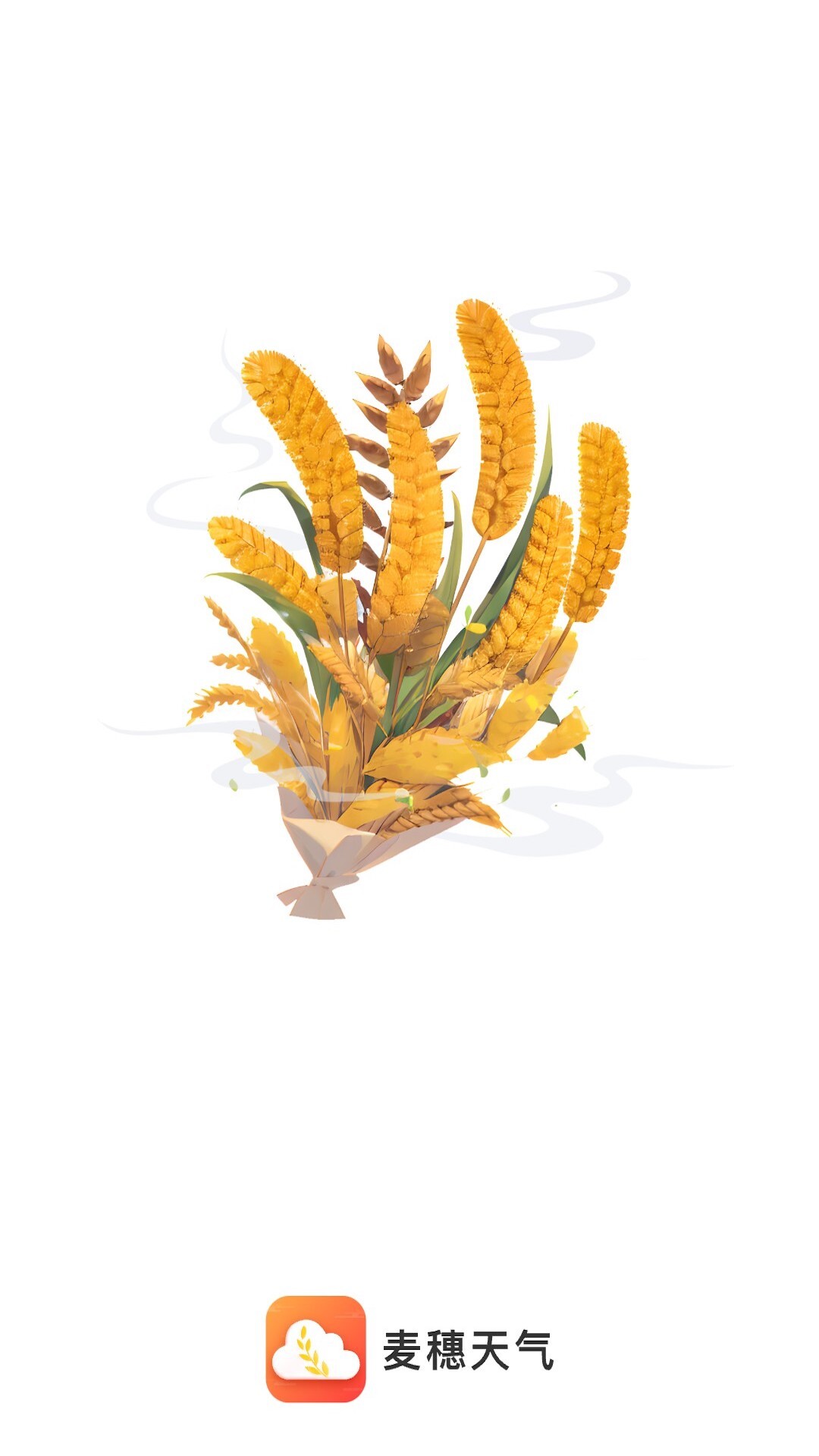 麦穗天气-图1