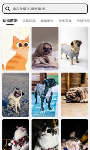 元气小组件-图2