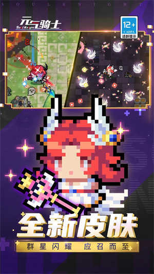 元气骑士池鹭直装版