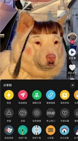 逗音小能手-图2