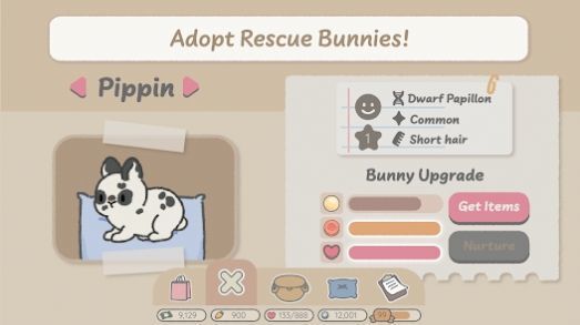 Bunny Haven