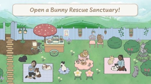 Bunny Haven