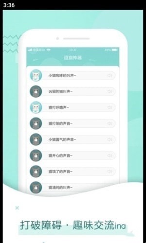 宠猫翻译-图2