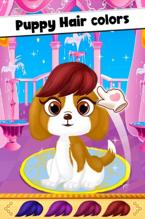 宠物美容美发沙龙 宠物美容美发沙龙