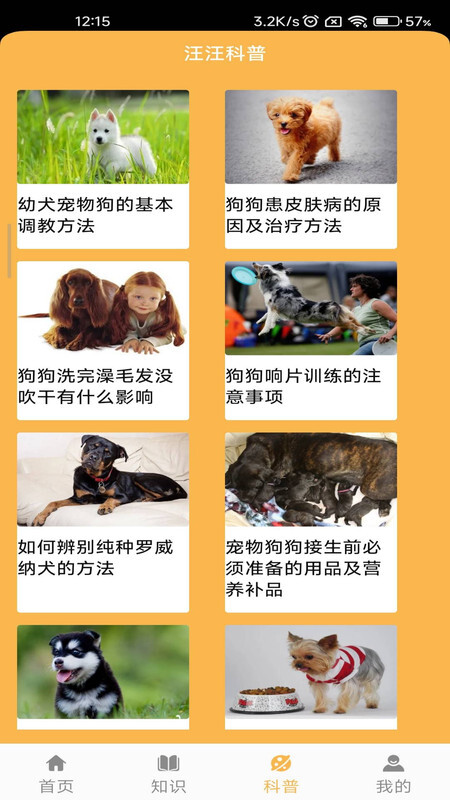 旺旺历险记-图1