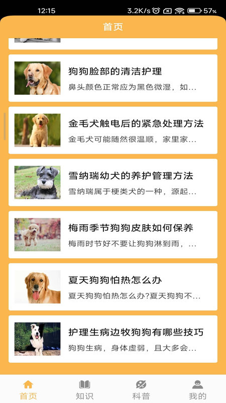 旺旺历险记-图3