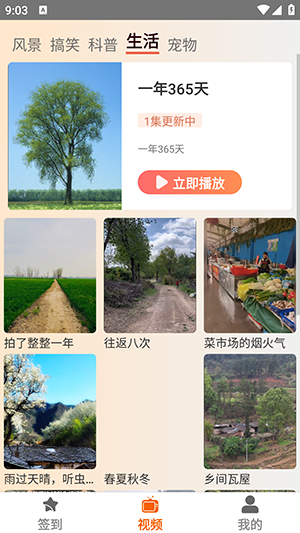 塔奇剧场 塔奇剧场