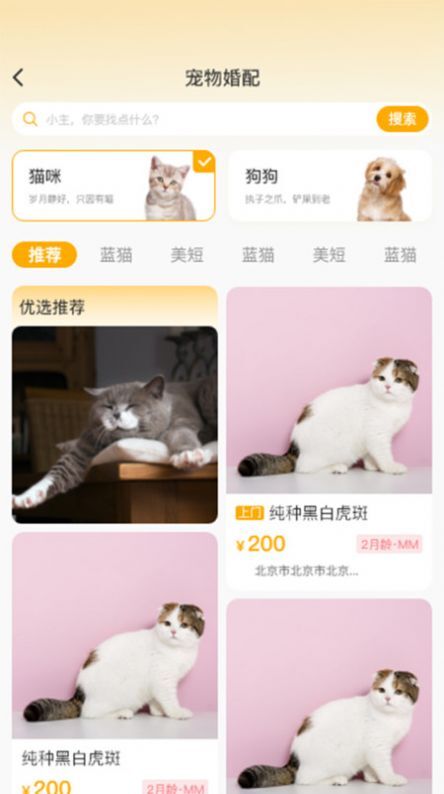 喵鑫球宠物 喵鑫球宠物