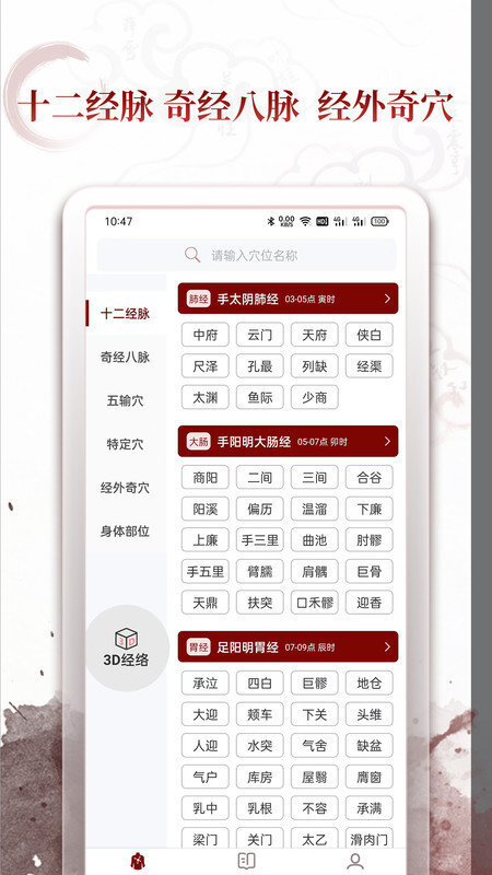 中医经络穴位 中医经络穴位