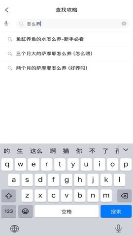 武点宠物 武点宠物