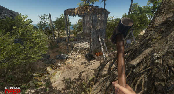 荒岛求生辉哥同款