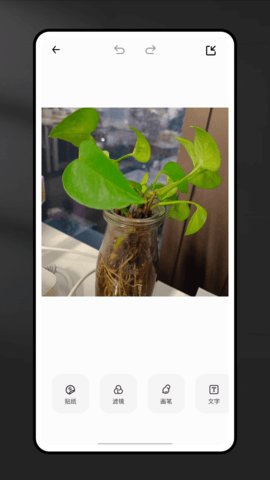 CCD复古相机滤镜 CCD复古相机滤镜