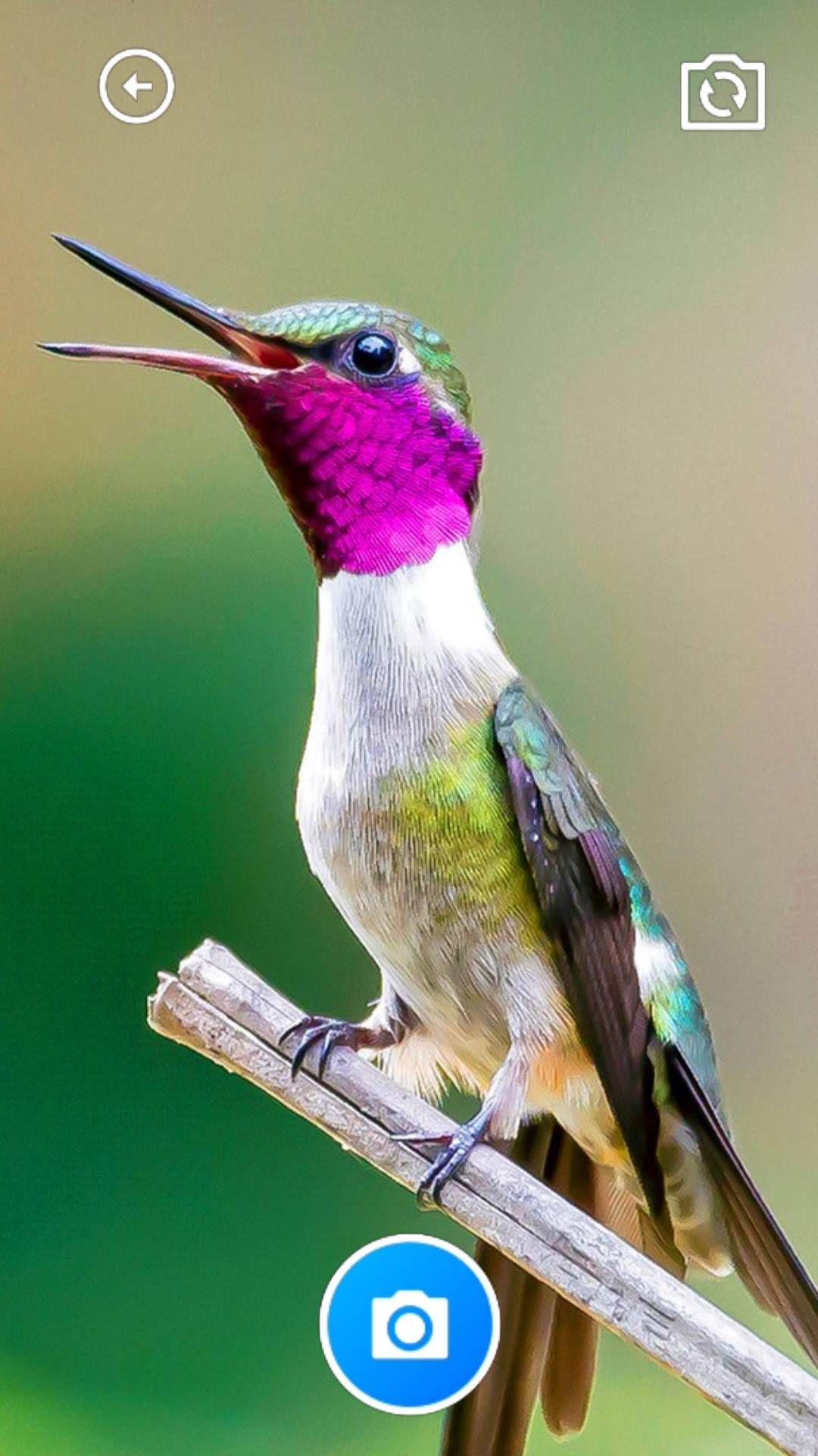 龙凤工具箱 龙凤工具箱