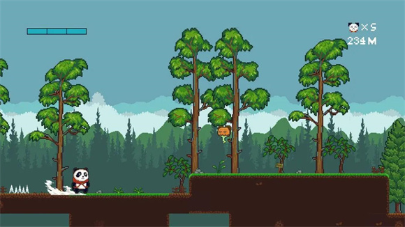 逍遥熊的旅行 逍遥熊的旅行