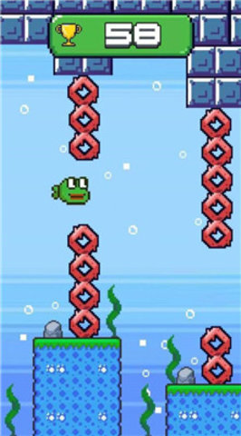 蛙了个蛙 蛙了个蛙