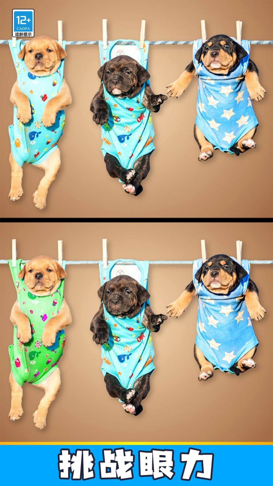 大家找不同 大家找不同