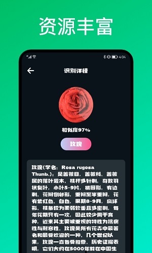 识花君植物识别-图1