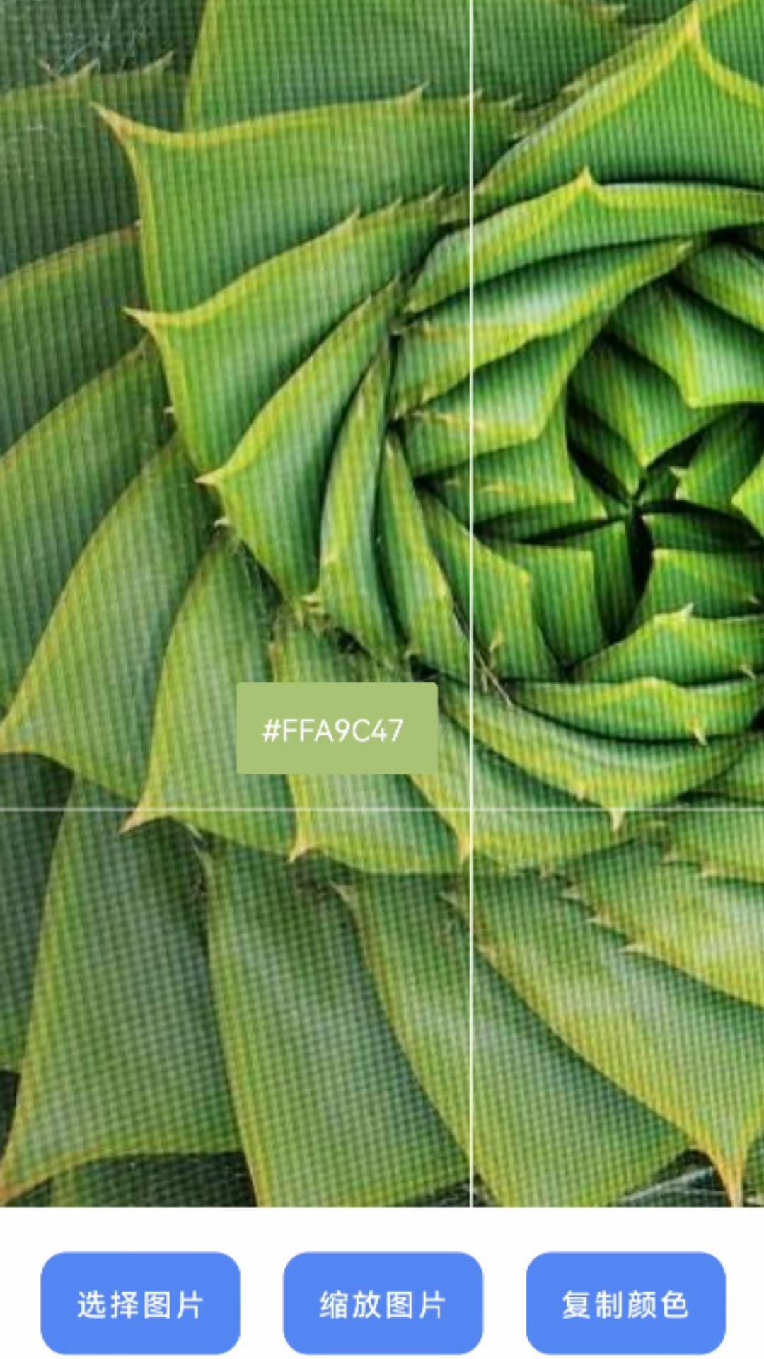 云梦生活帮手-图3