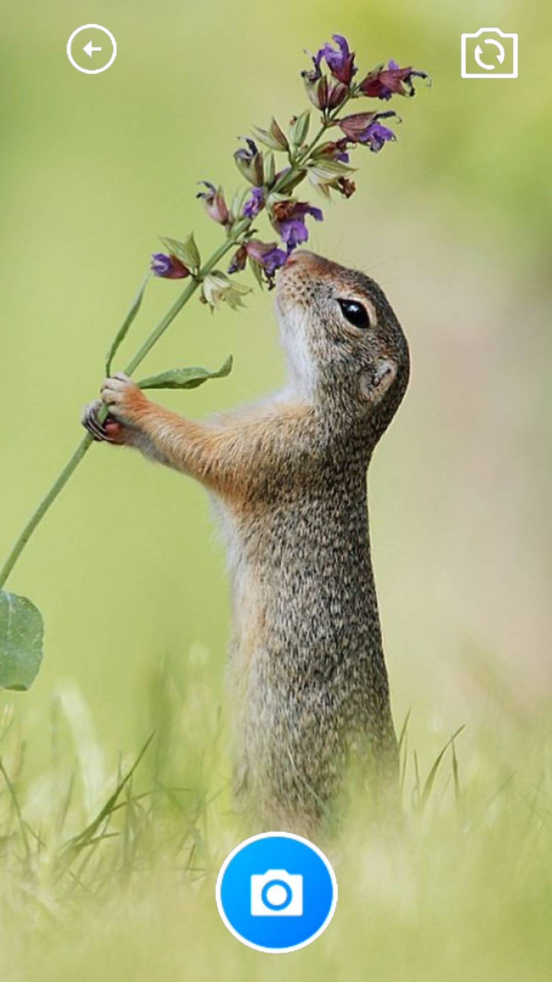 云梦生活帮手 云梦生活帮手