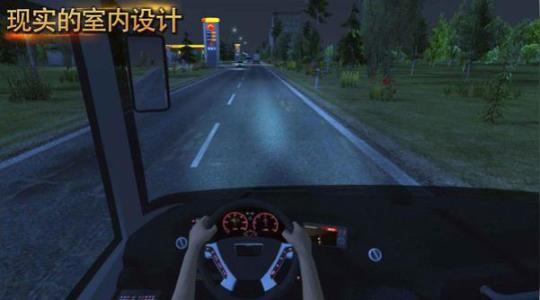 真实驾驶考验无限金币版