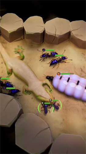 蚁族崛起大乱斗