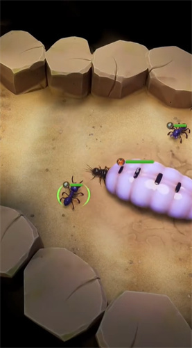 蚁族崛起大乱斗