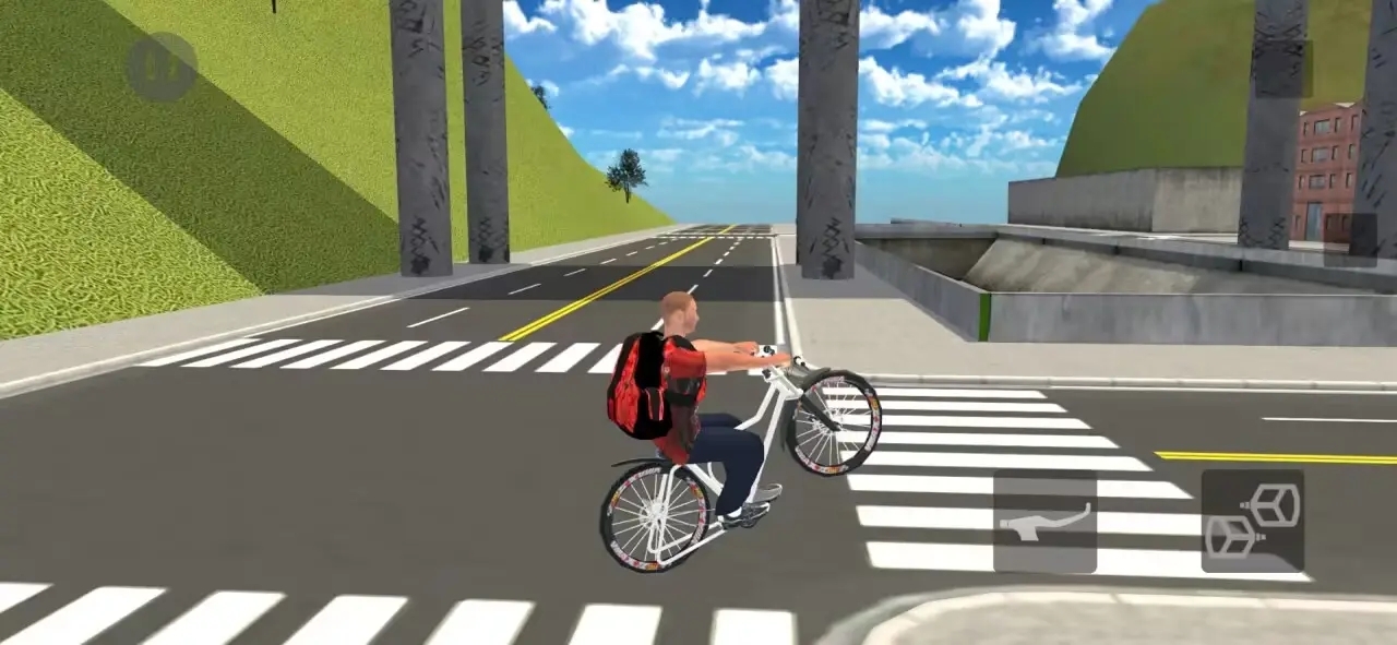 巴西特技自行车