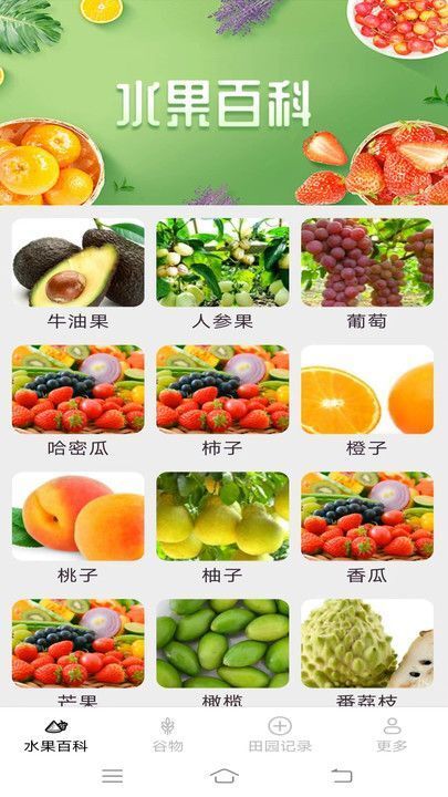 掌上果果多-图3