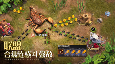 小小蚁国内购版2024