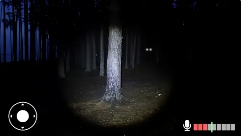 永不尖叫 永不尖叫