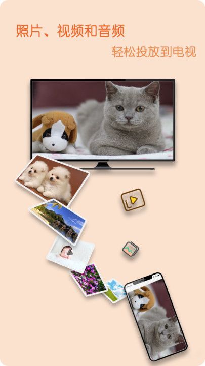 小白电视投屏-图1