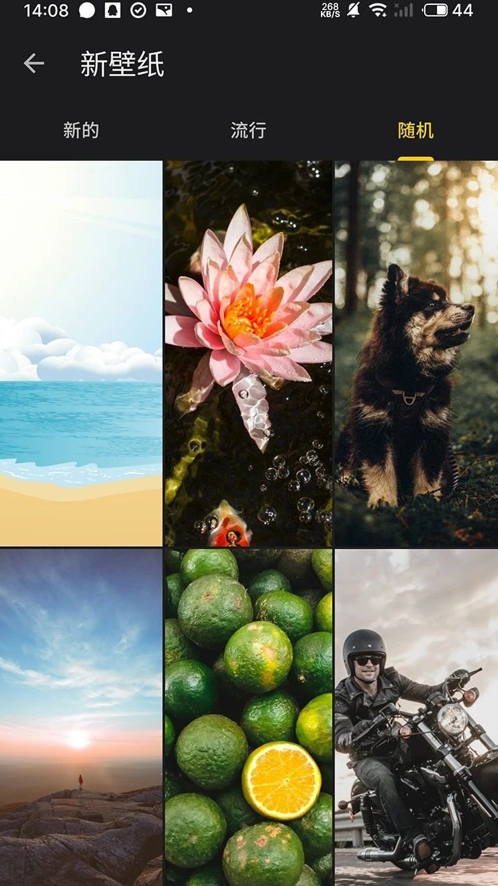 快全全壁纸-图3